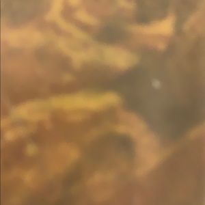 Meet your Posher, Lindsay